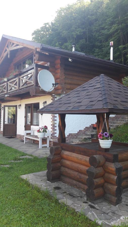U Druziv Hotel Polyana  Exterior photo